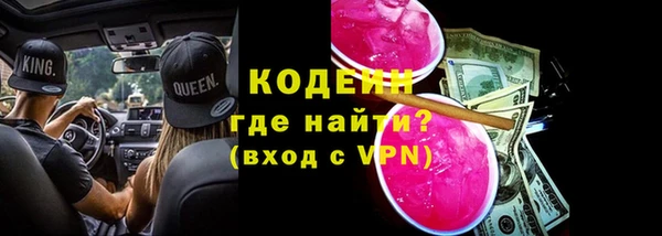 спиды Богородицк