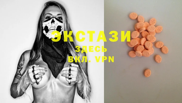 спиды Богородицк