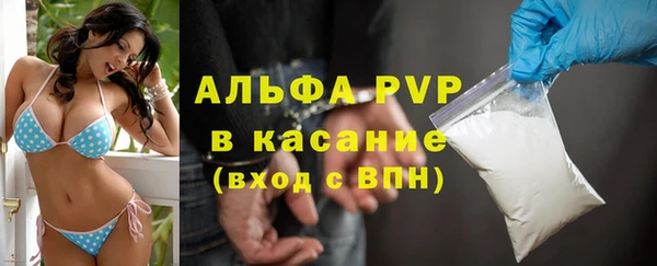 дмт Богородск