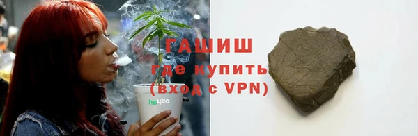 дмт Богородск