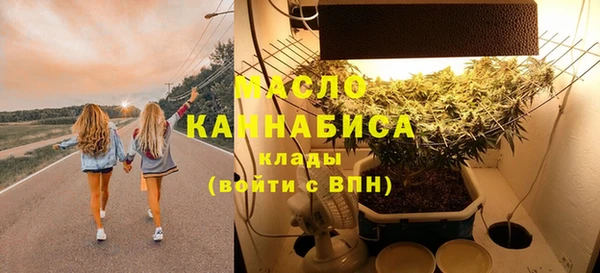 дмт Богородск