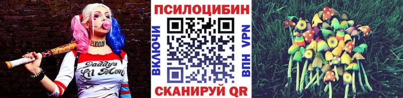 Псилоцибиновые грибы Psilocybe  ссылка на мегу как войти  Калининец 
