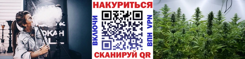 Марихуана планчик  Калининец 